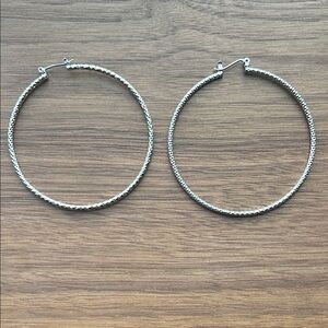 Elegant Silver Hoop Earrings